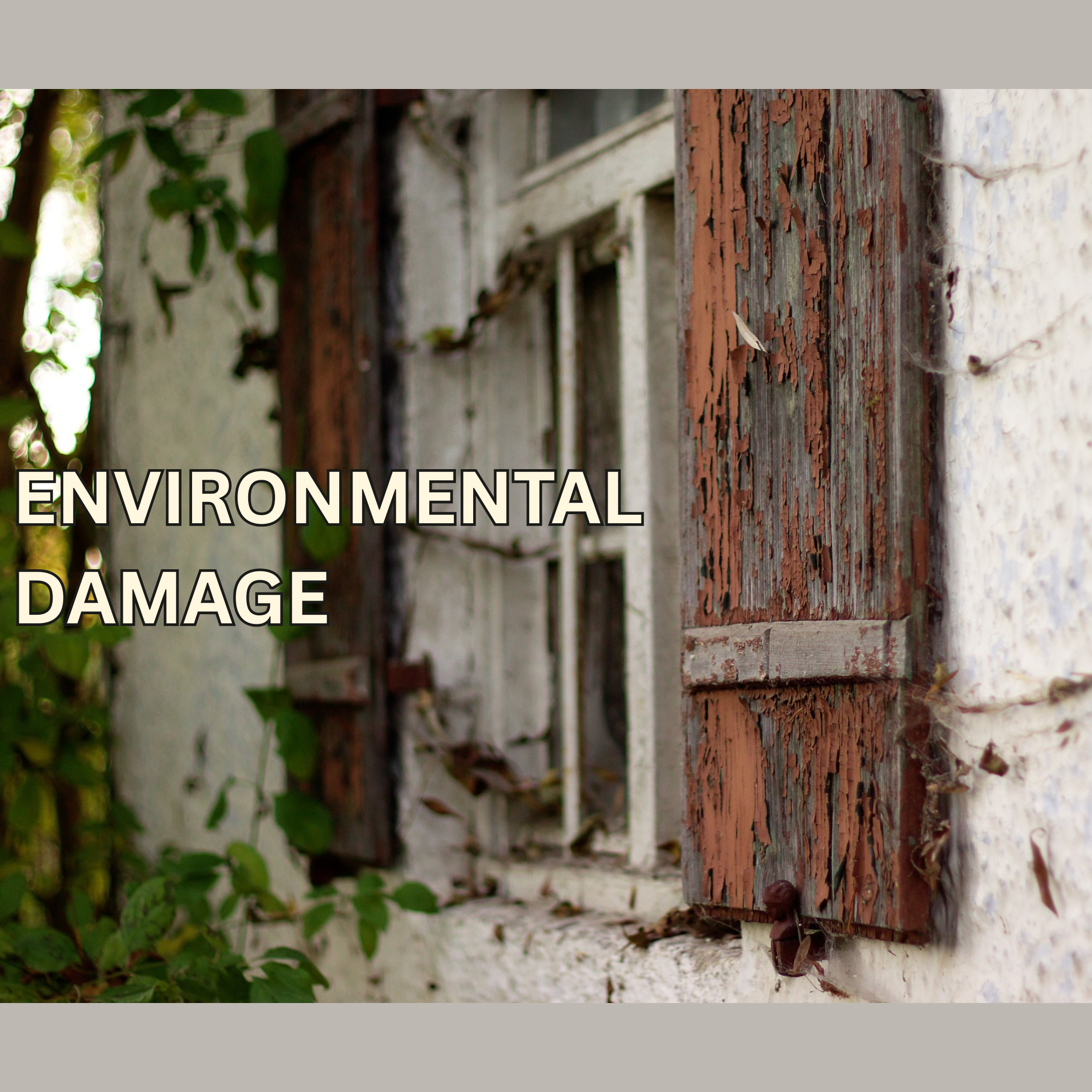 How to Protect Your Property from Environmental Damage: A Landlord’s Guide