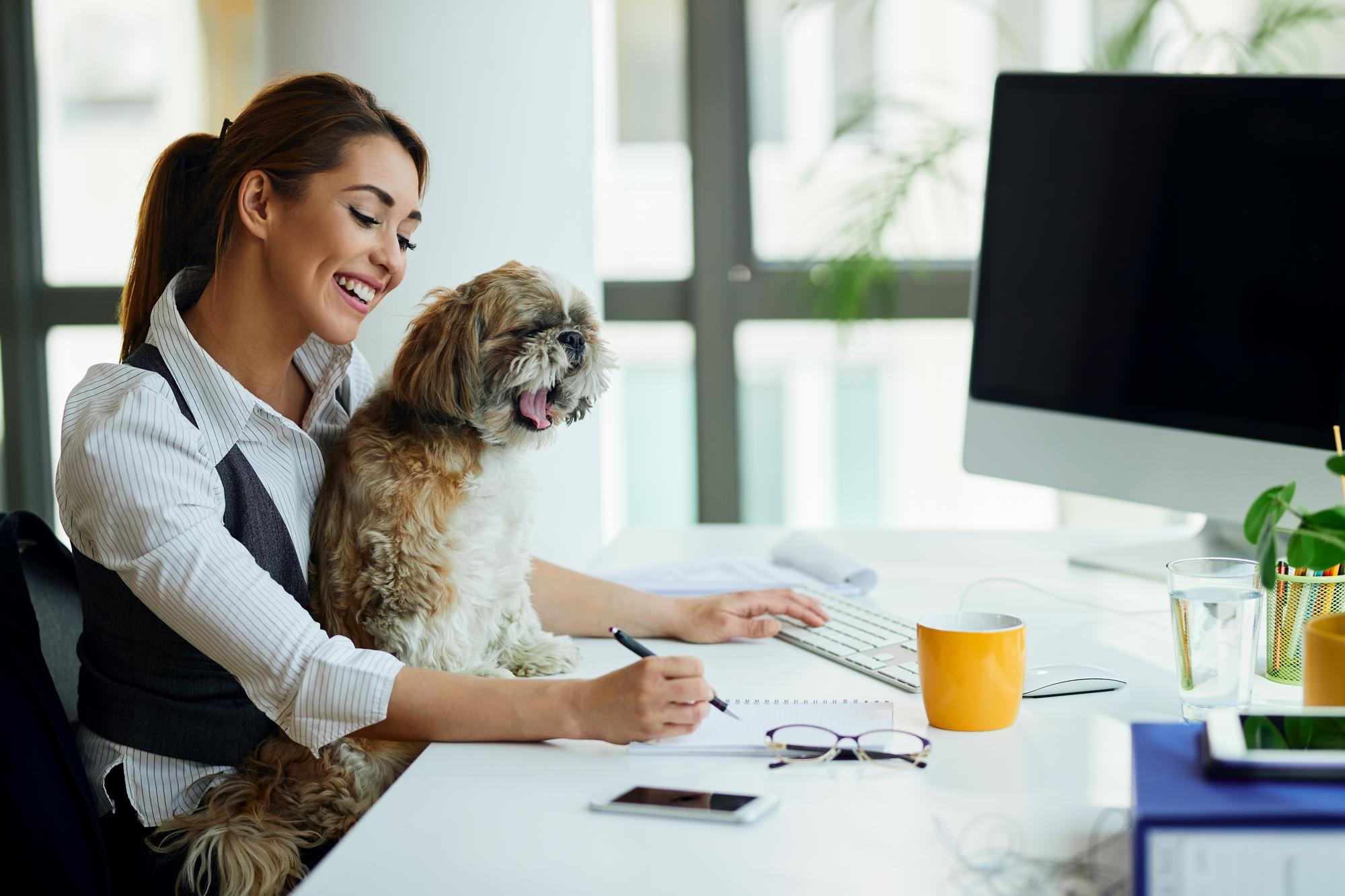 Tips for Landlords on Managing Pet Policies and Avoiding Tenant Complaints